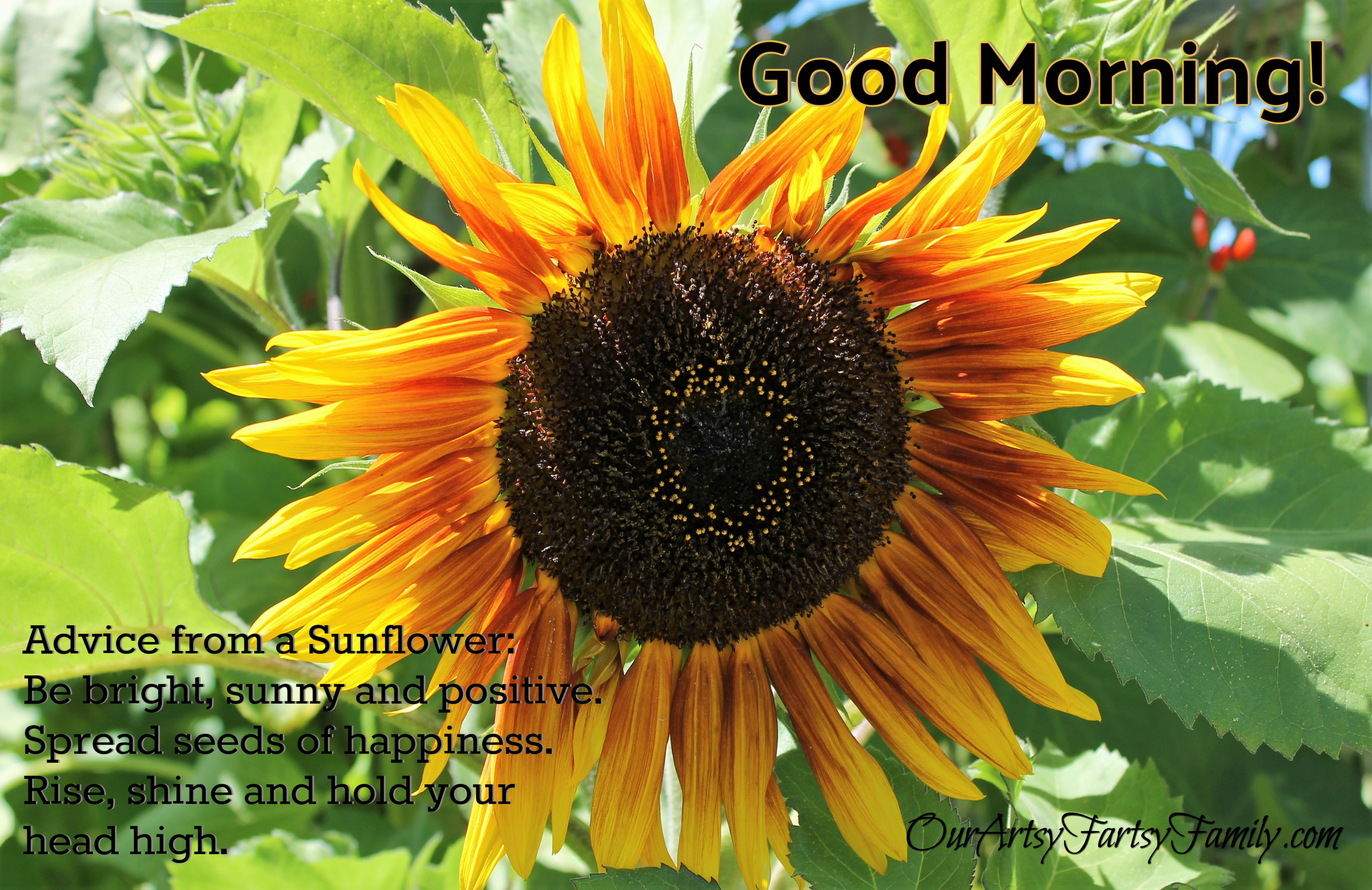 2020 - Good Morning Sunflower Quote